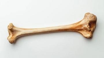 在家做出餐廳級(jí)香濃大骨棒，簡(jiǎn)單幾步get烹飪秘訣！