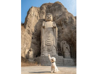 洛陽(yáng)親子四日游全攻略：輕松帶娃暢游古都