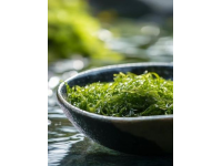銀耳 vs 燕窩：經(jīng)濟(jì)實(shí)惠的養(yǎng)生選擇——美膚補(bǔ)水潤肺湯的做法