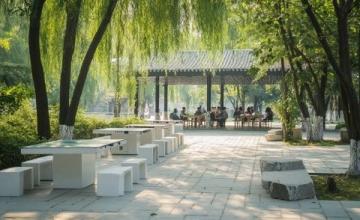 常德3天2晚旅游攻略：動物園、老街與溫泉放松之旅