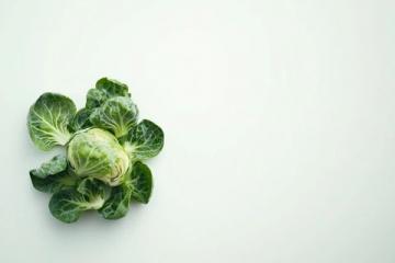 江蘇寶應(yīng)黑菜的神秘起源及其獨(dú)特魅力
