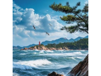 本地人親身經(jīng)歷：這份東山島旅游攻略，讓你的夏天不留遺憾！
