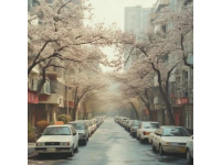 杭州秋日最美9條道路推薦，不容錯(cuò)過的賞秋打卡地