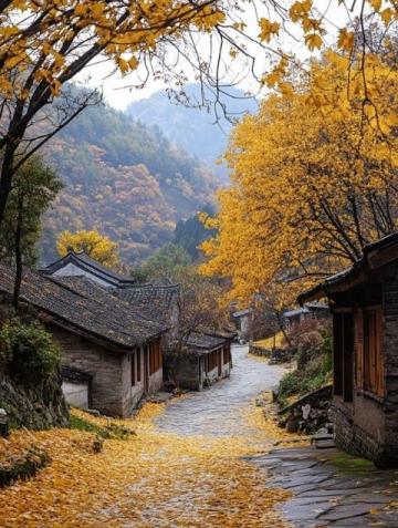 安徽陽產(chǎn)土樓:云端秋色里的歡樂之旅
