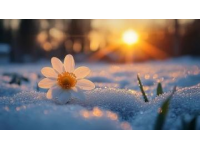 暴雪過(guò)后的寧?kù)o與春陽(yáng)的無(wú)力感
