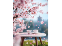 品味春日美好時(shí)光