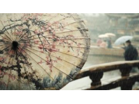 中國風(fēng)情春色，極致浪漫體驗(yàn)