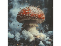 爆火！涼拌杏鮑菇，一口就愛到不行！