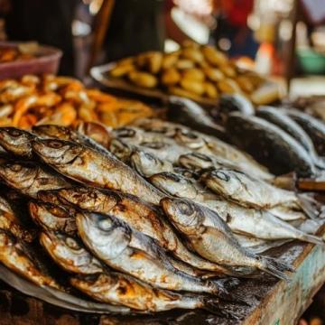 你知道嗎？金鯧魚的蛋白質(zhì)含量竟高達(dá)每100克15.6克！