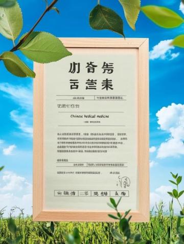 牛背山恢復(fù)開園，詳盡攻略奉上