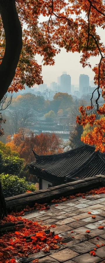 10月收官了，昨早出門，今天晚飯前到家了,揚(yáng)州2日游吧