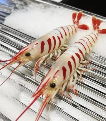 在周水前劉大龍蝦店的美食體驗：小龍蝦、烤串與榴蓮盛宴