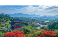 最新版！普陀山自由行攻略，吃住行玩一網(wǎng)打盡！