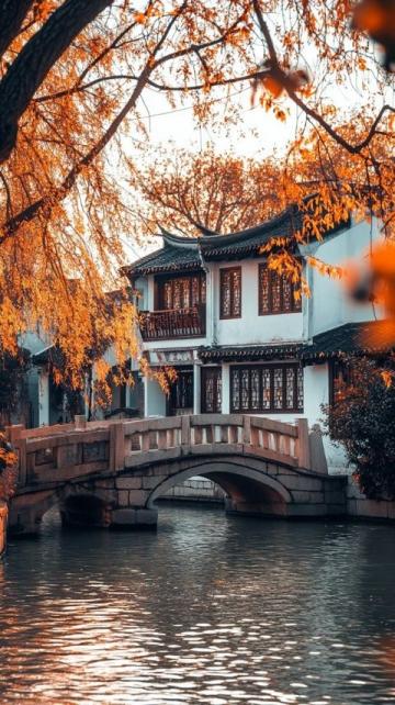 烏鎮(zhèn)宛如現(xiàn)實(shí)版楚門世界:古老與現(xiàn)代交織的迷人魅力