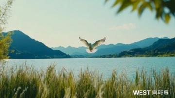 無錫旅游攻略太湖明珠的詩(shī)意漫游，人均1000元玩轉(zhuǎn)江南韻味