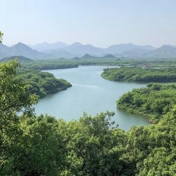 南昌居住近40年首次探訪梅嶺獅子峰:自然風(fēng)光與文化之旅