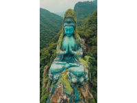 福建佛跳墻：閩味經(jīng)典，千年傳承與創(chuàng)新相融合