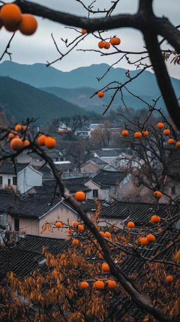 旅行知識(shí)分享之中國(guó)紅橙之鄉(xiāng)~廉江