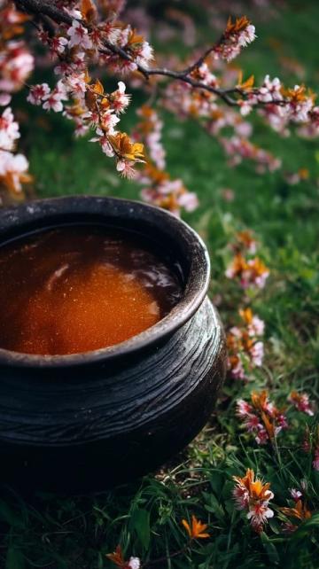 石潭豉油雞，廣東清遠(yuǎn)必嘗的雞肉美食！