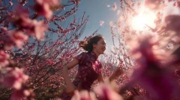 西藏林芝:遇見(jiàn)中國(guó)最美的春天 ??? ?? ??