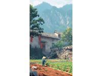 探訪廣西之美：不止桂林，發(fā)現(xiàn)更多風情
