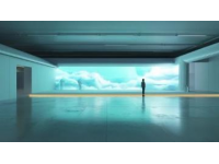 新手友好·美味香菇雞翅做法分享：簡單幾步，鮮香誘人！