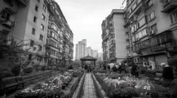 都市生活的魅力與壓力:光鮮背后的真實(shí)圖景