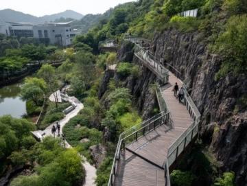 闖進(jìn)四川合江福寶，邂逅隱匿的綠野仙蹤