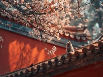 中國各地春節(jié)習(xí)俗大盤點，你家鄉(xiāng)上榜了嗎？