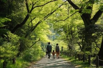 全國(guó)五大踏青公園推薦，解鎖春日親子樂(lè)趣之旅