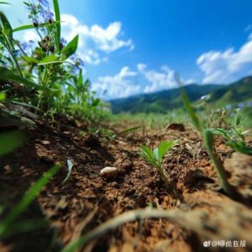自駕羅平、賞油菜花：一條路、一輛車、無(wú)限美景!
