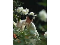 農(nóng)家春味濃，野菜香滿園，城里售價翻倍貴