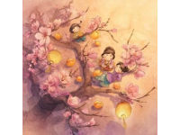 大家好，我是老袁,沙湖公園賞梅攻略附免費打卡點+周邊玩法，一鍵收藏！