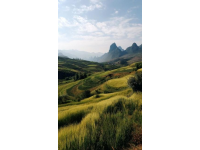 這些城市的名字串起來(lái)就像一條獨(dú)特的旅行路線,沭陽(yáng)縣有著獨(dú)特的鄉(xiāng)村風(fēng)光