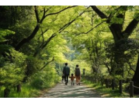 全國(guó)五大踏青公園推薦，解鎖春日親子樂(lè)趣之旅