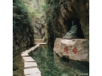 九皇山花溪景辛夷花賞花攻略: 時(shí)光、路線、美食交通指南