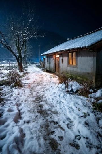 煙臺招遠，冬至將至，入冬之后的兩場降雪，路邊的菊花傲視風(fēng)雪的姿態(tài)。