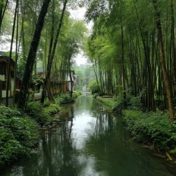 一探杭州西溪濕地魅力，顛覆你對(duì)景點(diǎn)的認(rèn)知