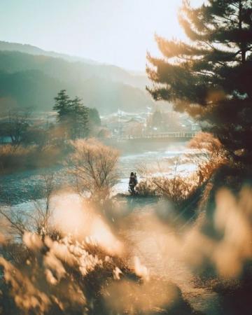 煙臺招遠，冬至將至，入冬之后的兩場降雪，路邊的菊花傲視風(fēng)雪的姿態(tài)。