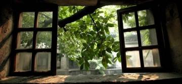 探秘歷史文化名城:揚(yáng)州值得一游的多重魅力