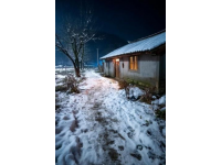 煙臺招遠，冬至將至，入冬之后的兩場降雪，路邊的菊花傲視風雪的姿態(tài)。