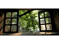 探秘歷史文化名城：揚(yáng)州值得一游的多重魅力