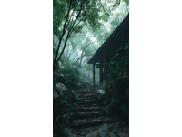 （實(shí)拍）成都農(nóng)科村，免費(fèi)4A景區(qū)，以前最喜歡去的農(nóng)家樂聚集地