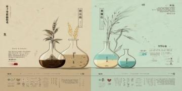 客家釀菜大全：簡單易學(xué)、鮮美多樣