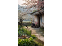 一個(gè)浙江的春天，在細(xì)枝末節(jié)