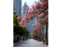 重慶南岸區(qū)免費(fèi)公園大盤點(diǎn)：踏青好去處，春天不止工作學(xué)習(xí)