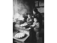 一位農(nóng)村娃的奮斗史，從一無所有到年賺50萬，就因為做了這件事
