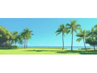 東方夏威夷之稱(chēng)的海陵島：金色沙灘與清澈海水的魅力