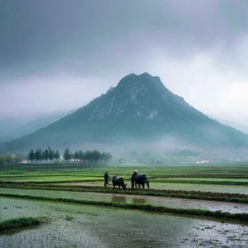 周末去哪玩？跟著大河報(bào)鄉(xiāng)村半日游—摘麥芒、杏吃桃，享美味農(nóng)家飯！