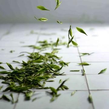 每天一杯普洱茶，身體會收獲哪些驚喜？